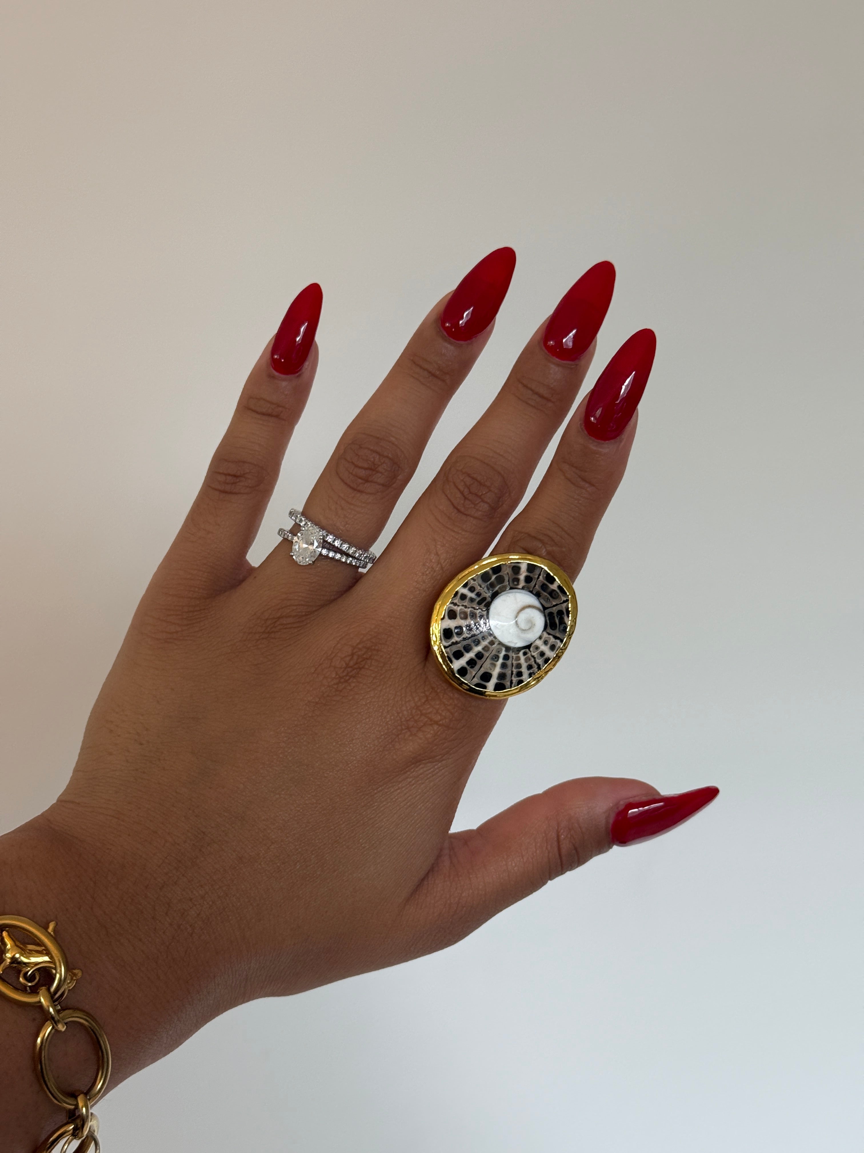 Anillo Caracol