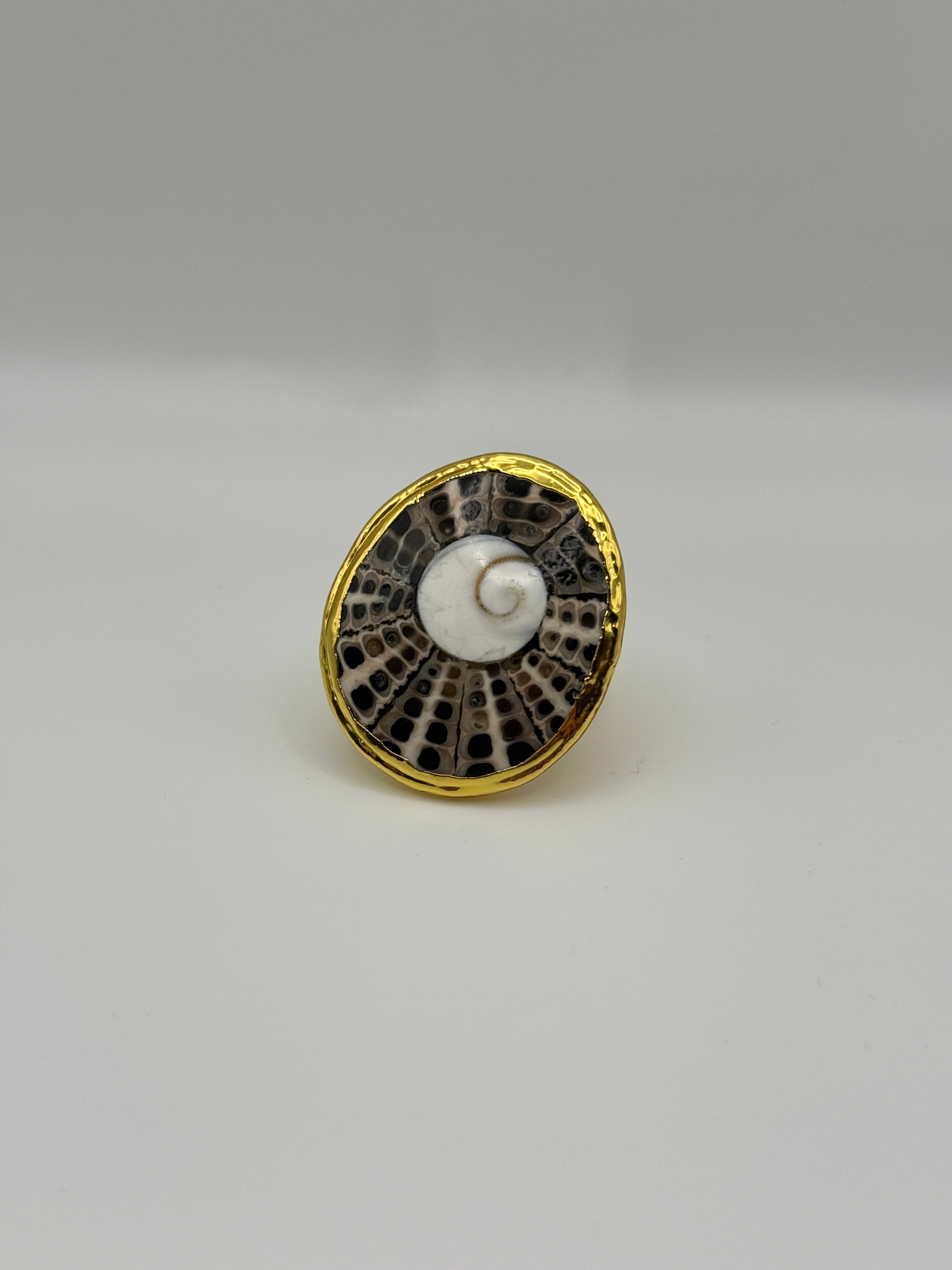 Anillo Caracol
