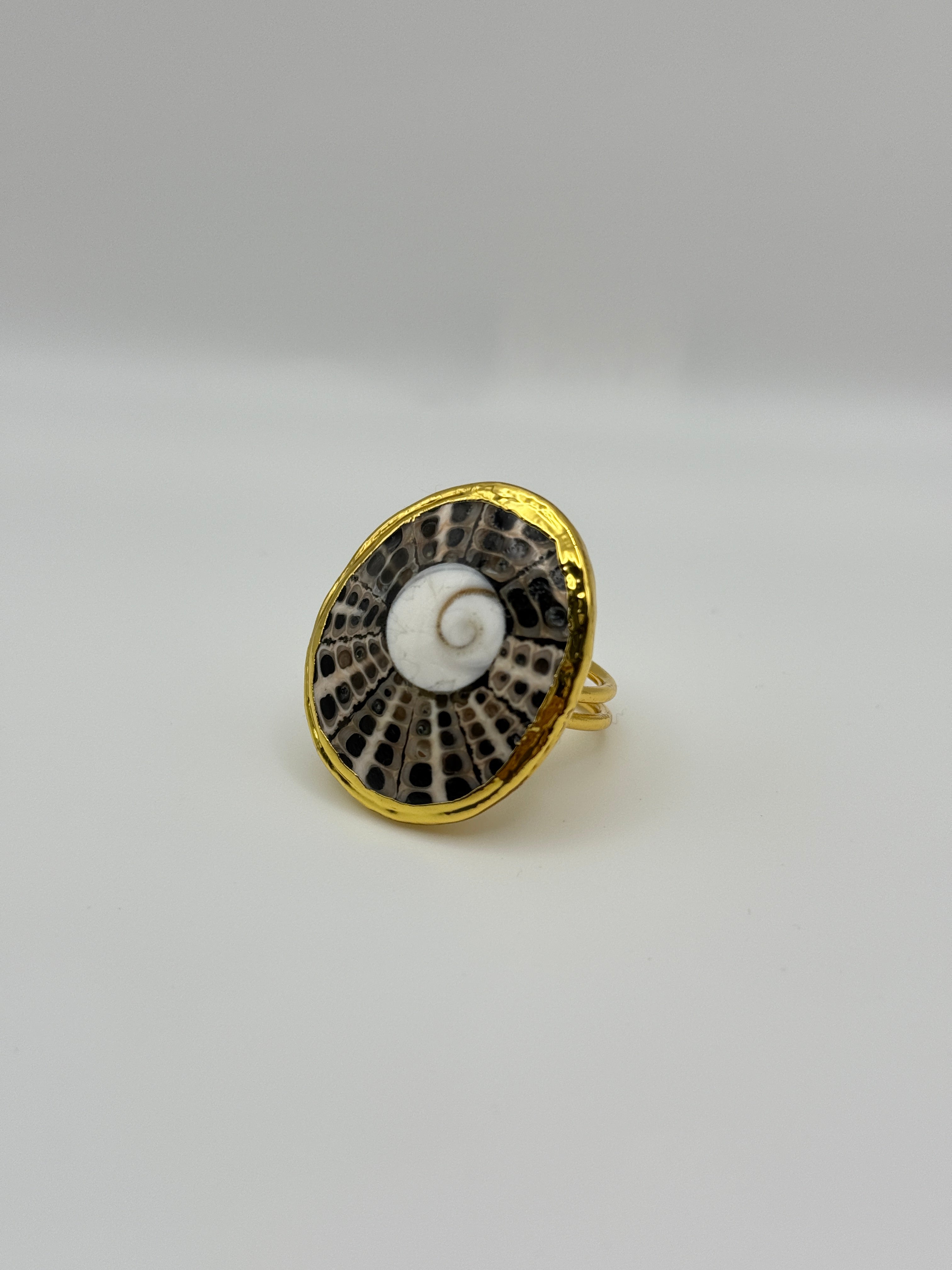 Anillo Caracol