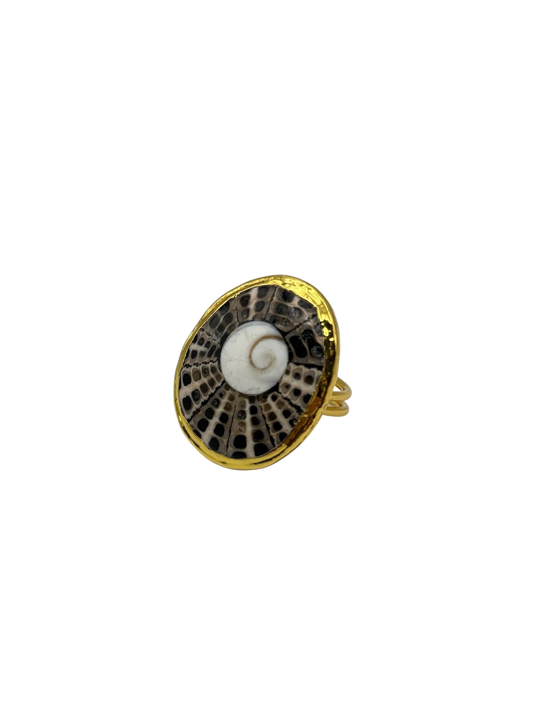 Anillo Caracol